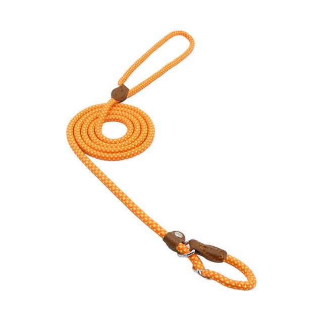 Nylon Dog Collar & Leash Set – Adjustable Walking Set with PU Leather Trim