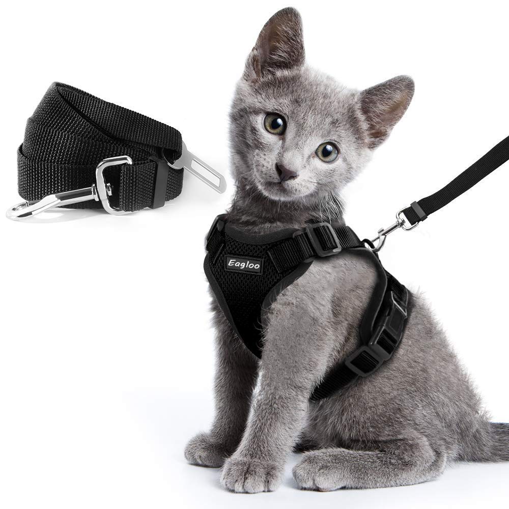 Black reflective cat harness with leash for outdoor adventures