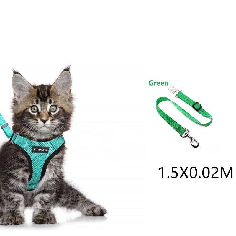 Cat wearing green escape-proof honeycomb mesh harness on walk