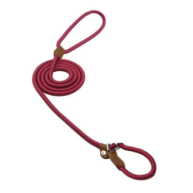 Nylon Dog Collar & Leash Set – Adjustable Walking Set with PU Leather Trim