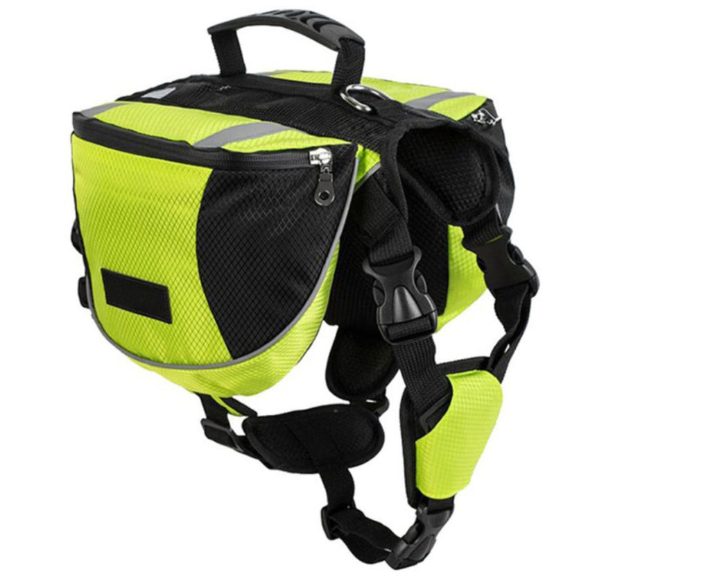 Dog wearing blue saddle pack on hiking trail showing reflective tape