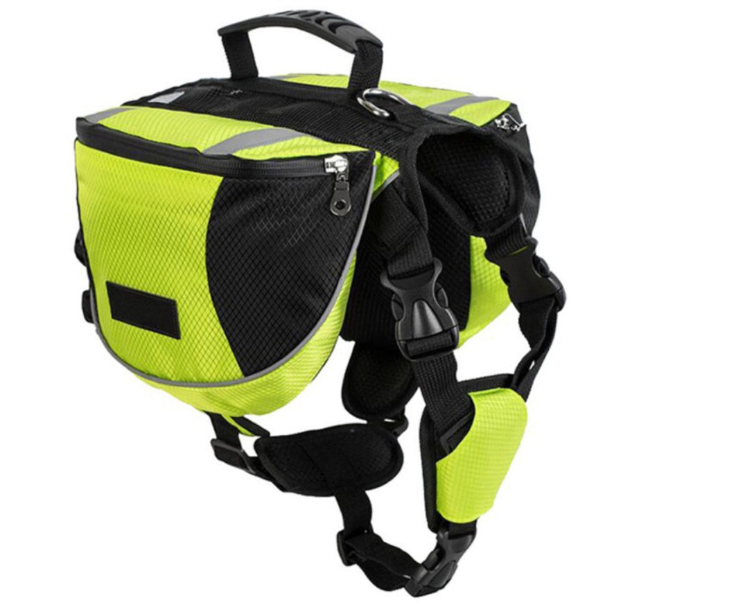 Dog wearing blue saddle pack on hiking trail showing reflective tape