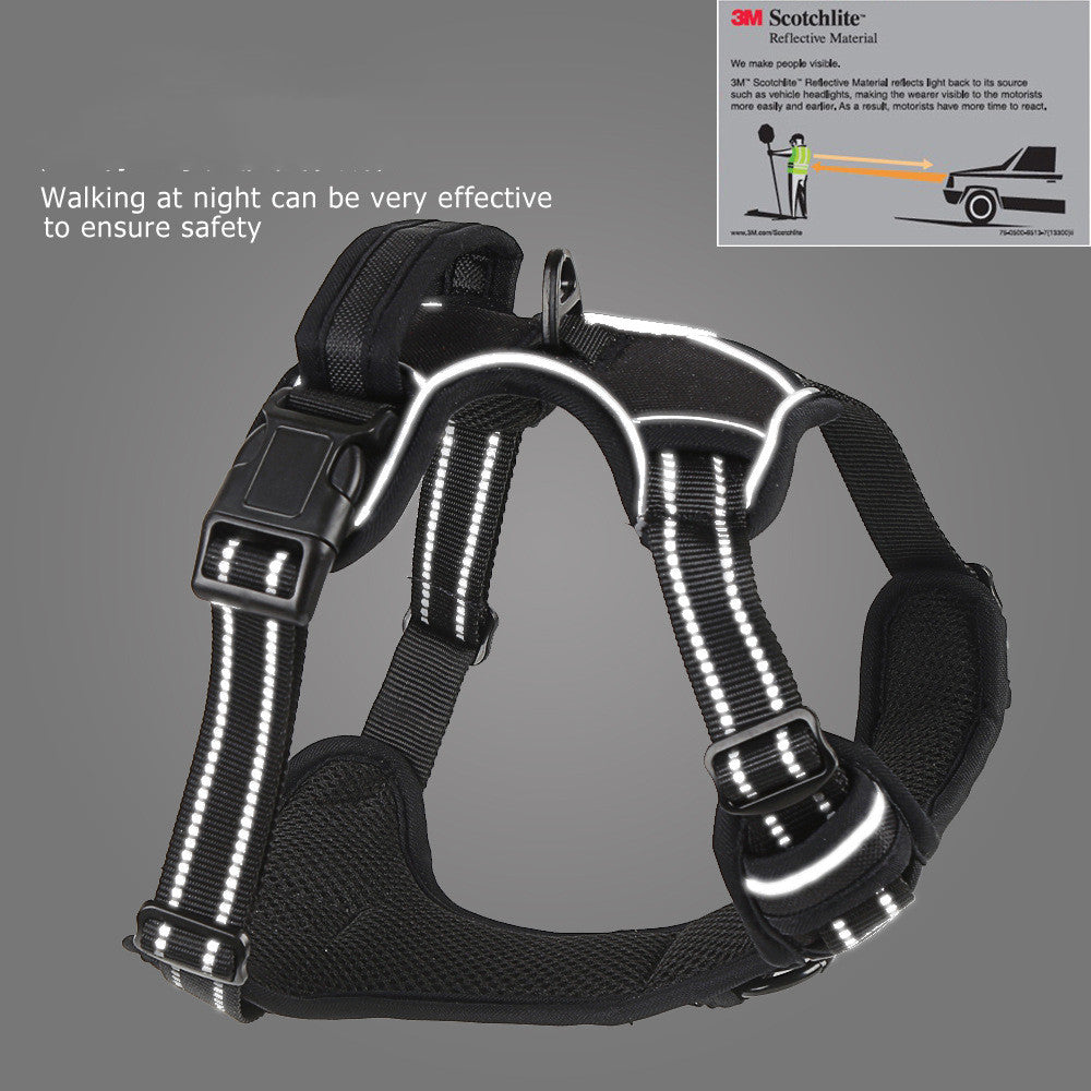 Orange reflective dog harness showing adjustable chest and back straps