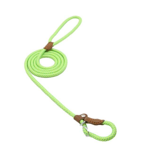 Nylon Dog Collar & Leash Set – Adjustable Walking Set with PU Leather Trim