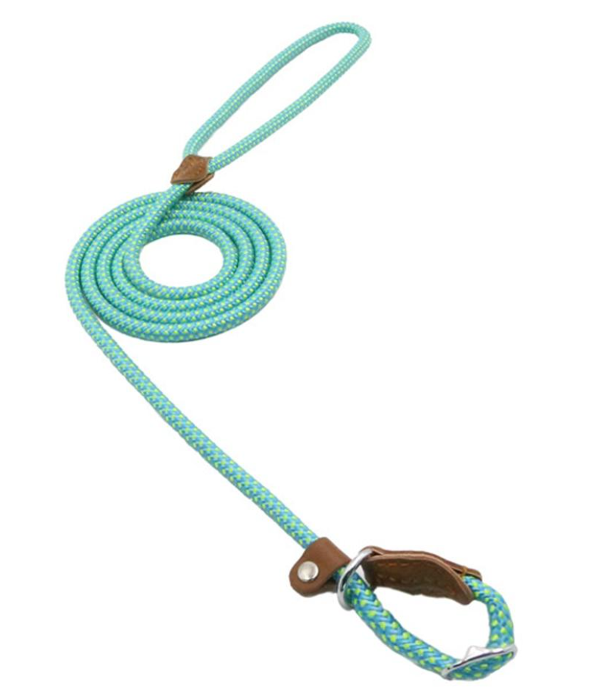 Nylon dog collar and leash set packaging and full kit