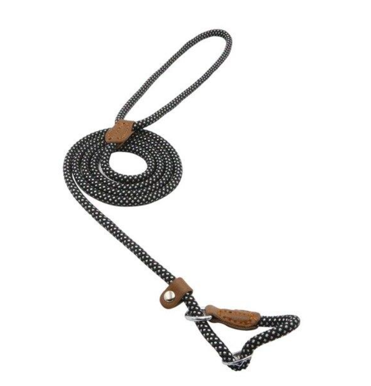 Nylon Dog Collar & Leash Set – Adjustable Walking Set with PU Leather Trim