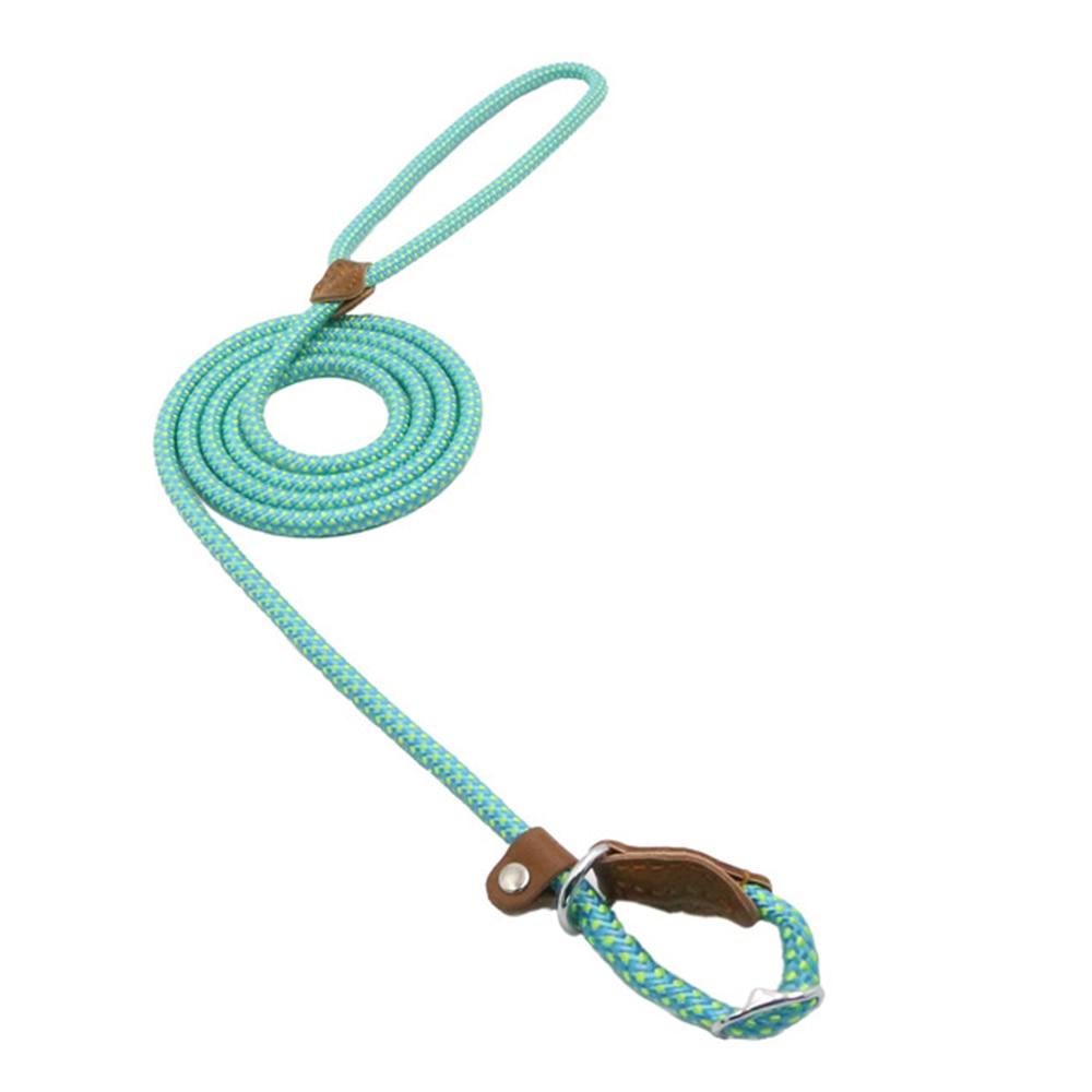 Nylon Dog Collar & Leash Set – Adjustable Walking Set with PU Leather Trim