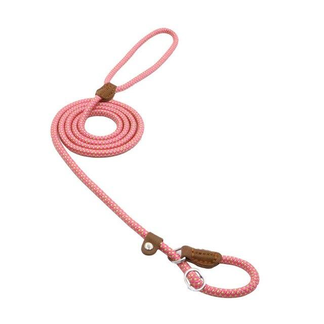 Nylon Dog Collar & Leash Set – Adjustable Walking Set with PU Leather Trim