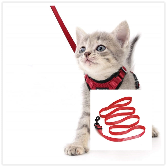 Red cat adventure harness with standard leash attachment
