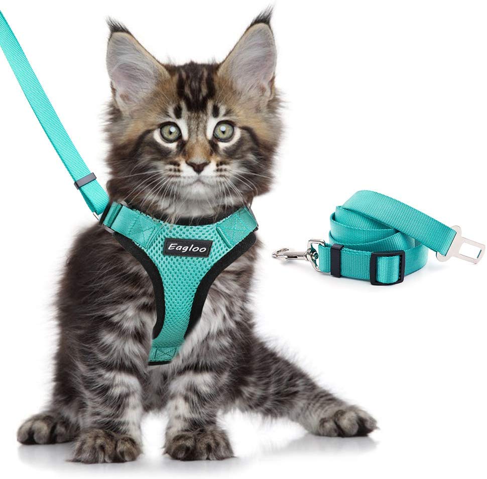 Pink reflective cat harness with leash showing 360 degree surround fit