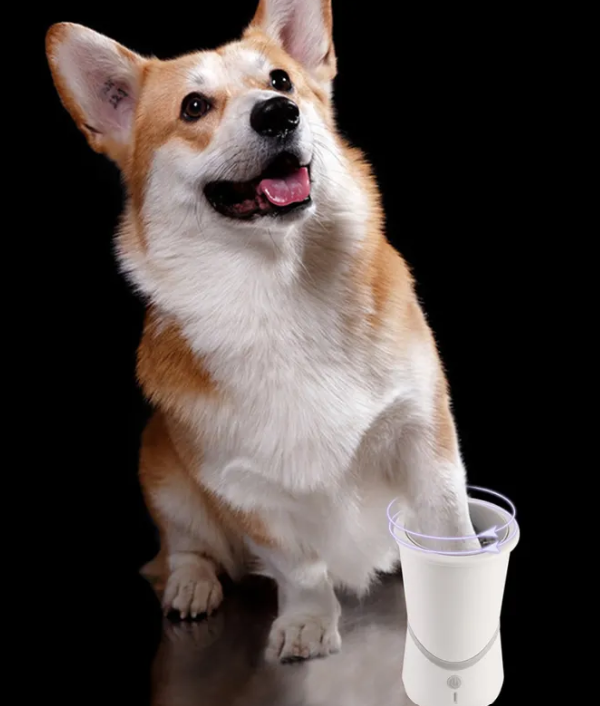Dog paw being cleaned in electric paw washer cup with water