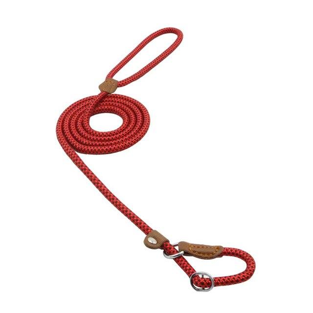 Orange nylon dog collar and leash matching set