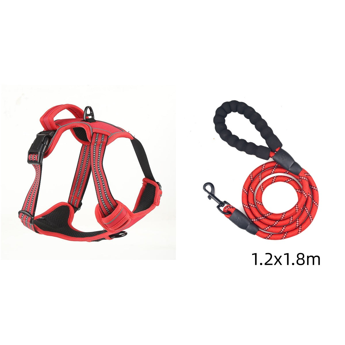 Dog wearing red reflective harness on a trail at dusk