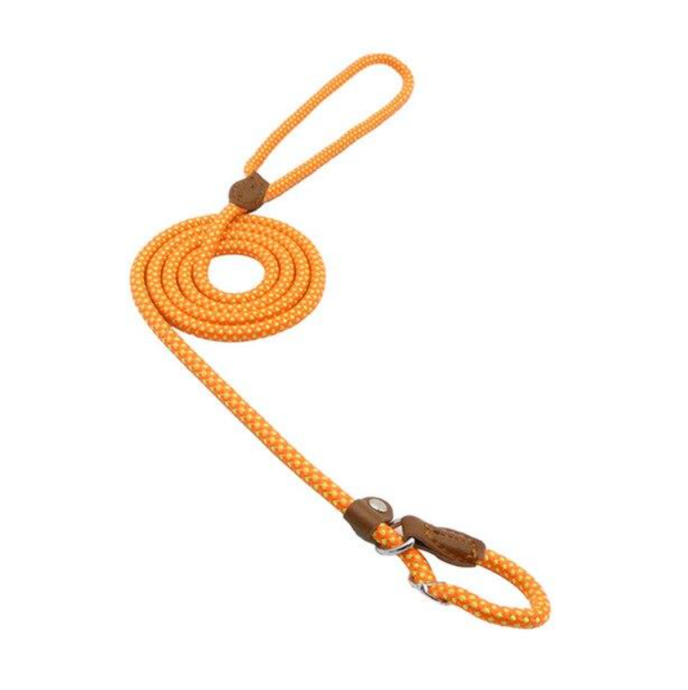 Adjustable buckle on nylon dog collar and leash set