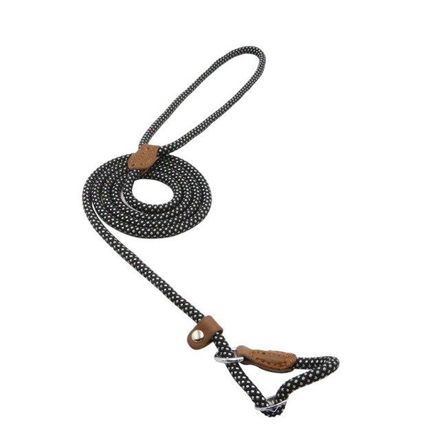 Nylon Dog Collar & Leash Set – Adjustable Walking Set with PU Leather Trim