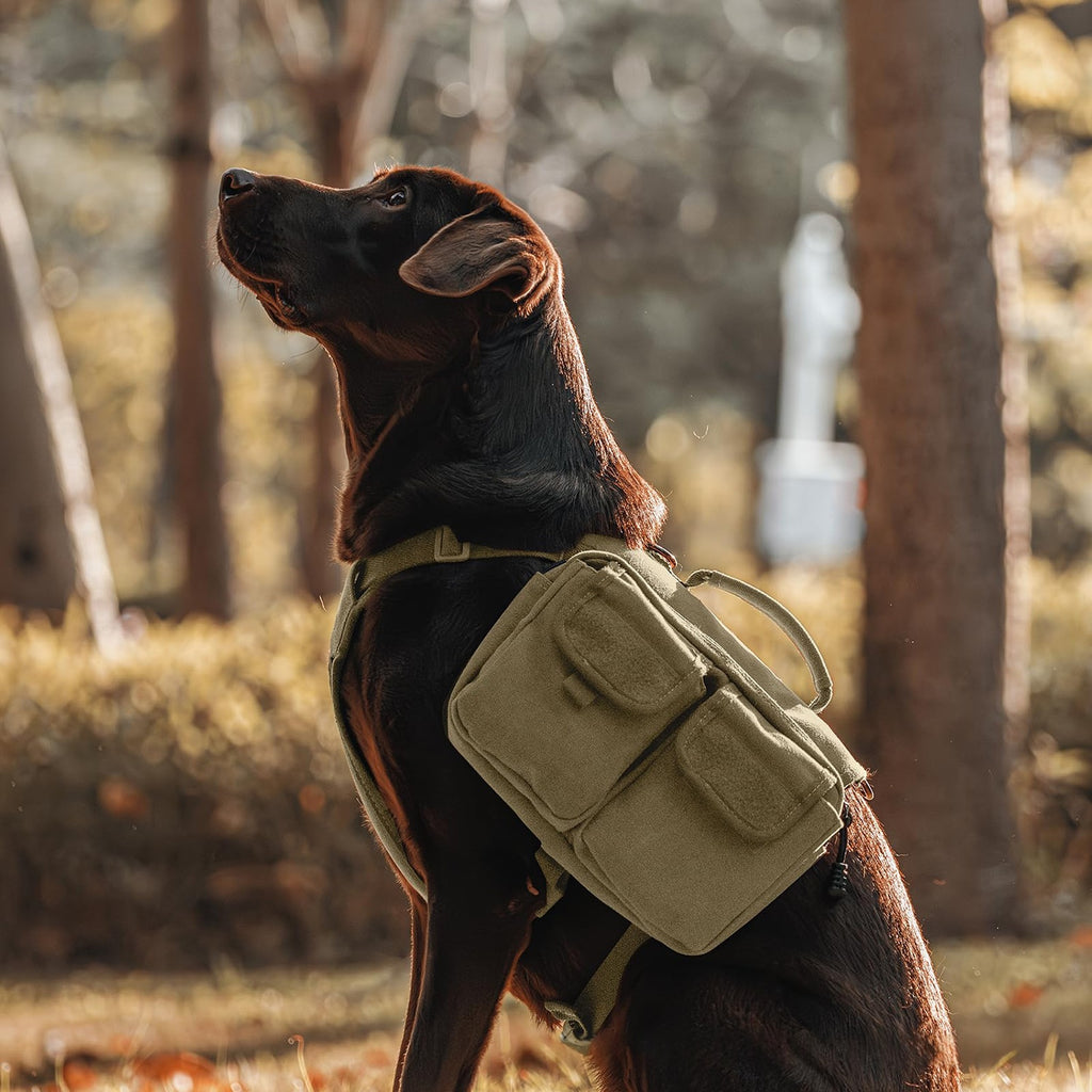 Dog hiking carrier backpack in size M showing comfortable padded straps