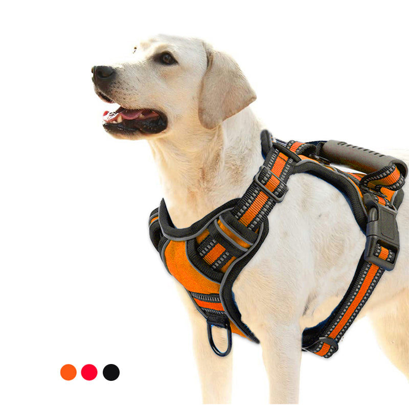 Black reflective dog harness for trail hiking with high-visibility strips